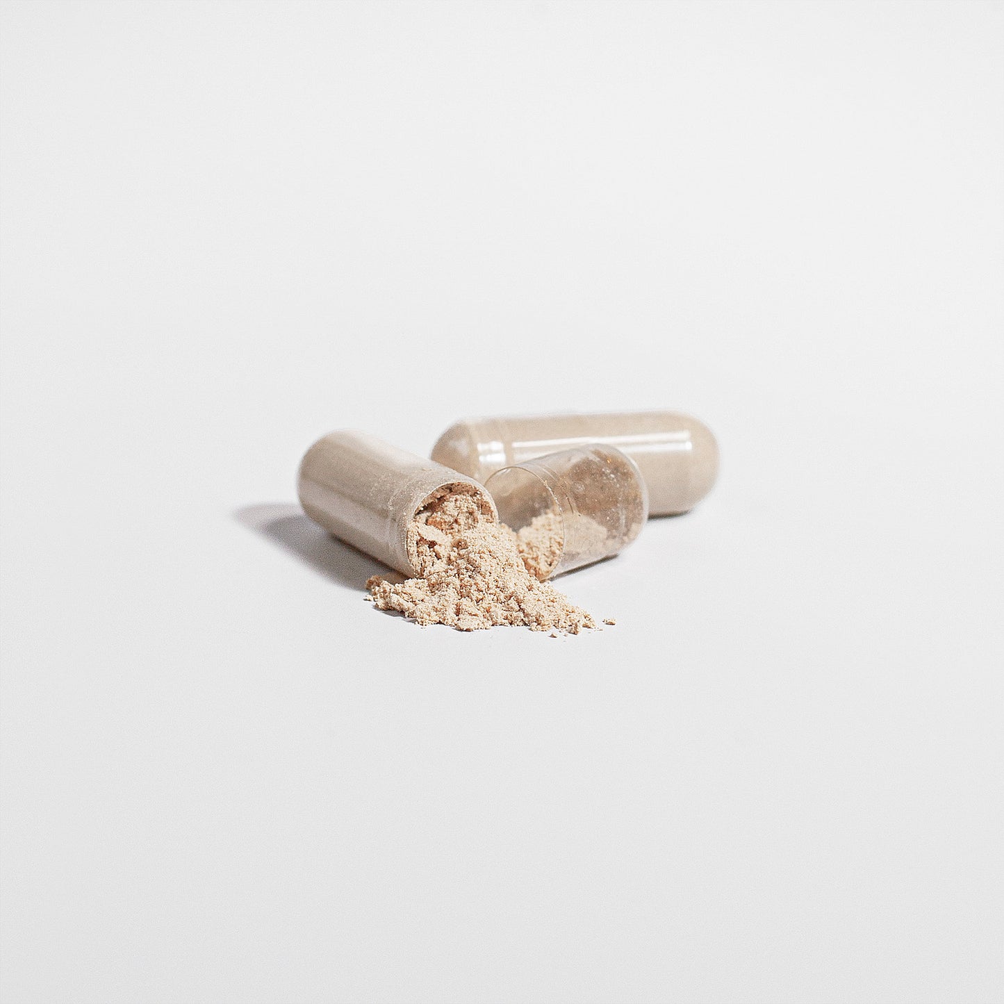 Brain Primer: Organic Lion's Mane Mushroom